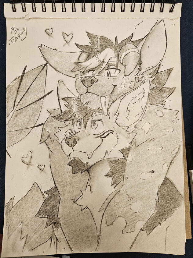 Sketch commissions